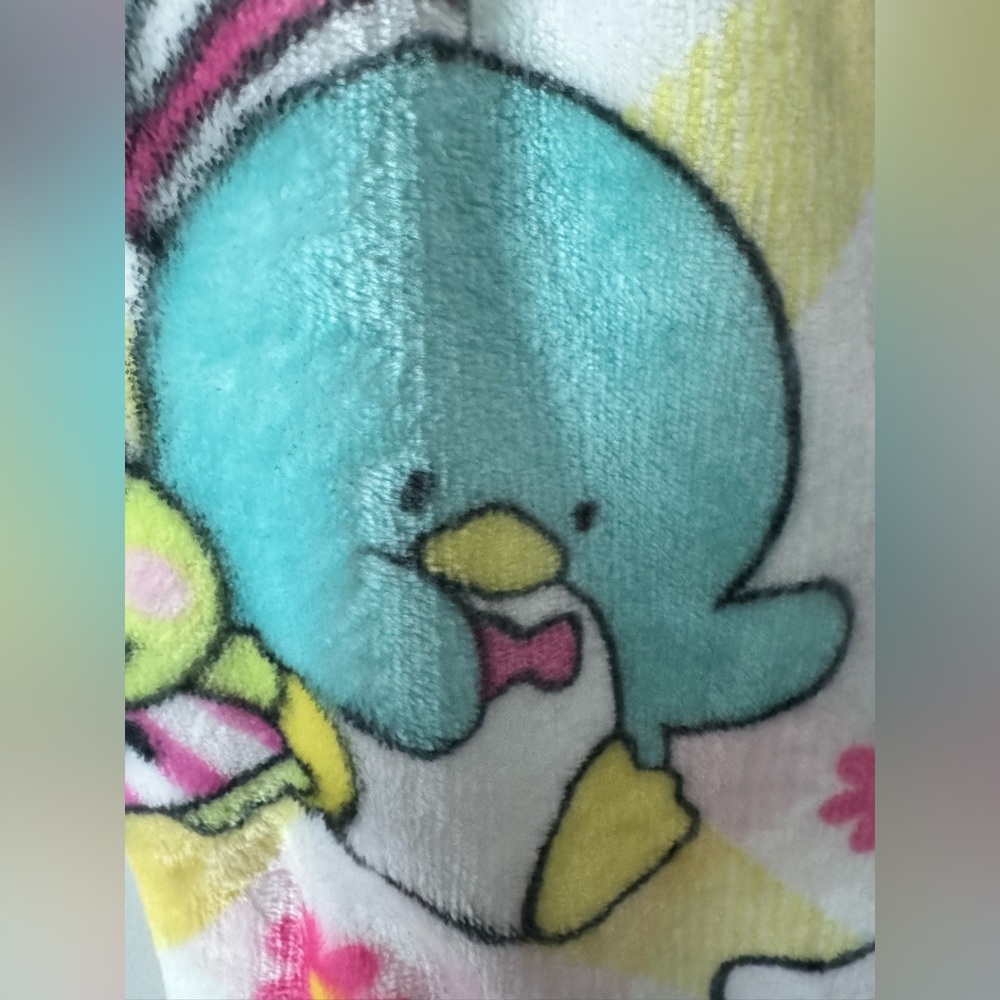 Hello Kitty Blanket🩷 - Picture 4 of 6